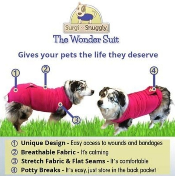 Surgi~Snuggly Dog Cone - E Collar Alternative for Dogs, Protects Your Pet's Woun - Picture 3 of 6